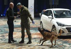 FOTO Policijski psi u akciji: Natjecanje koje demonstrira snagu K9 jedinica u BiH!