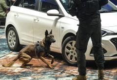 FOTO Policijski psi u akciji: Natjecanje koje demonstrira snagu K9 jedinica u BiH!