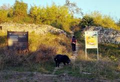 Berkovica: Fale još samo cimciraste šamšare