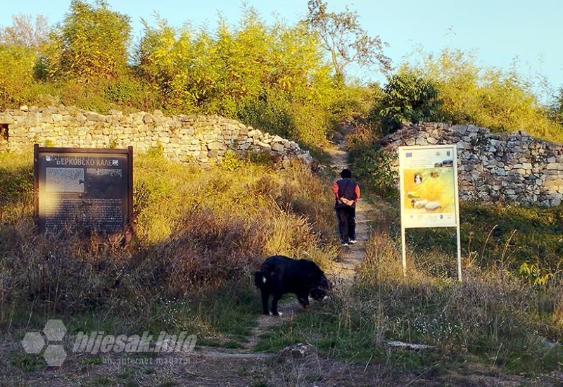 Berkovica: Fale još samo cimciraste šamšare