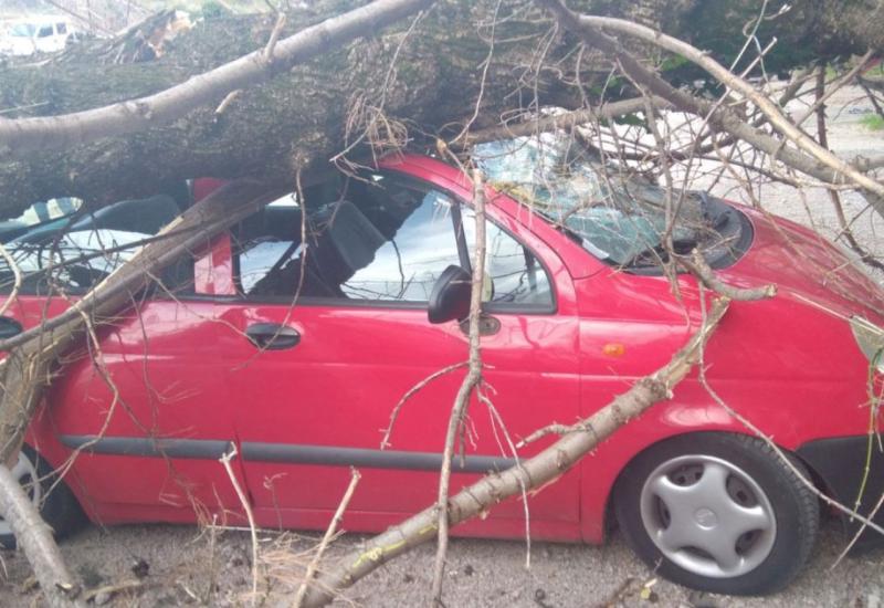 Trebinje: Vjetar čupao stabla, oštećeno više automobila 