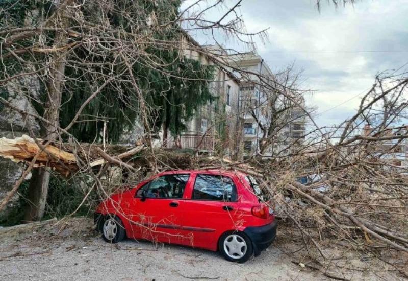 Stablo palo na automobil u Trebinju - Trebinje: Vjetar čupao stabla, oštećeno više automobila 