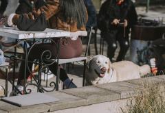 Siječanj je postao srpanj - Mostar vrvi turistima