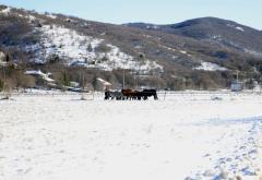 FOTO | Snježna tura - Goranci, Vrdi, Raška Gora