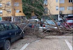 Udari vjetra do 100 km/h ruše fasade i čupaju stabla