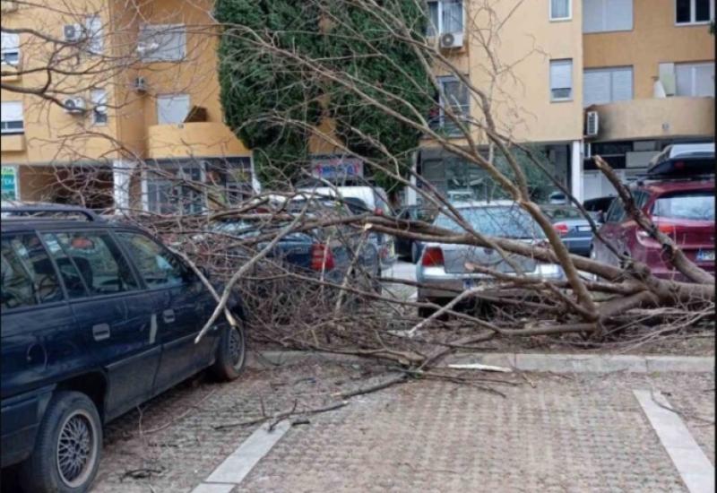 Udari vjetra do 100 km/h ruše fasade i čupaju stabla