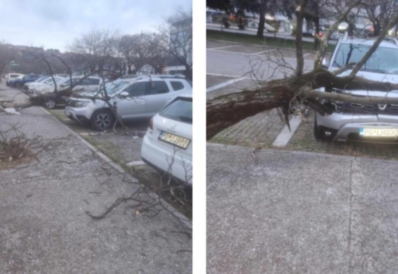 Udari vjetra do 100 km/h ruše fasade i čupaju stabla