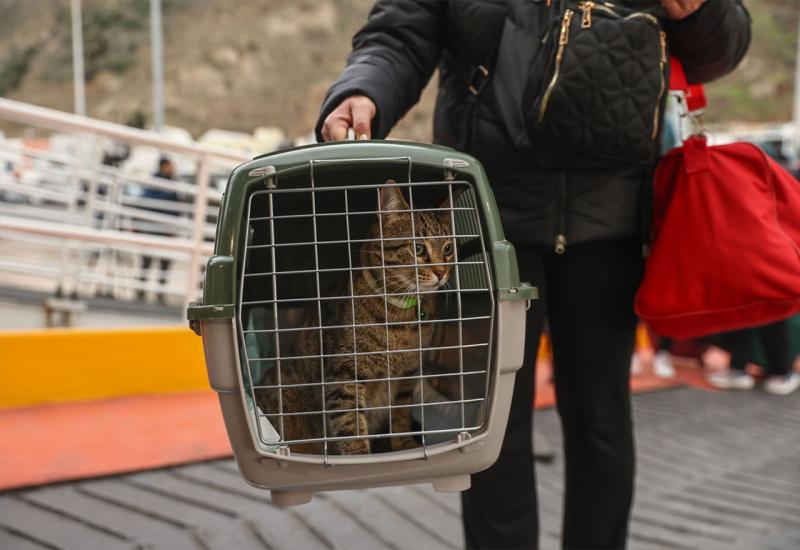 FOTO | Tisuće ljudi bježe sa Santorinija zbog neprekidnih potresa