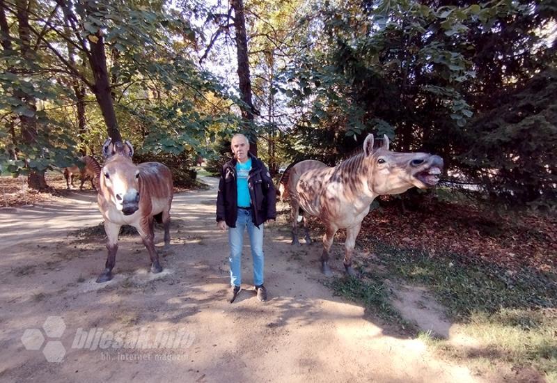 …tu i mali Mujo :) - Vršec: Lovci na blago otkrili svijetu kako je izgledao život u ledeno doba