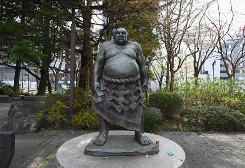 Tanikaze Kajinosuke (Mustu, 8. rujna 1750 - Miyagi District, 27. veljače 1795.) - Tanikaze Kajinosuke – prvi živući yokozuna u povijesti sumo hrvanja