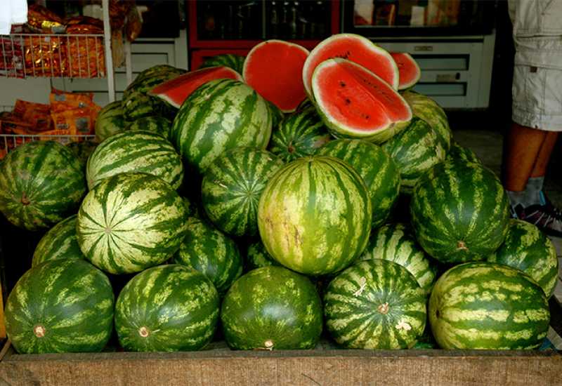 Poljoprivrednici traže zabranu uvoza lubenice