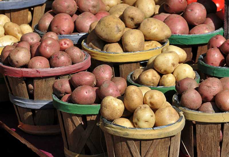 Hrvatska Bosni i Hercegovini vratila krumpir zbog teških metala