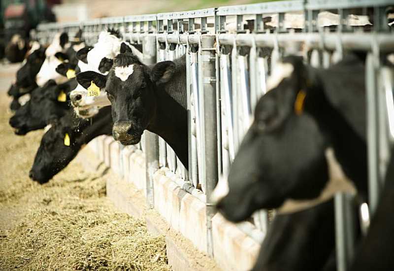 Federalno ministarstvo poljoprivrede poziva na pojačanu kontrolu životinja