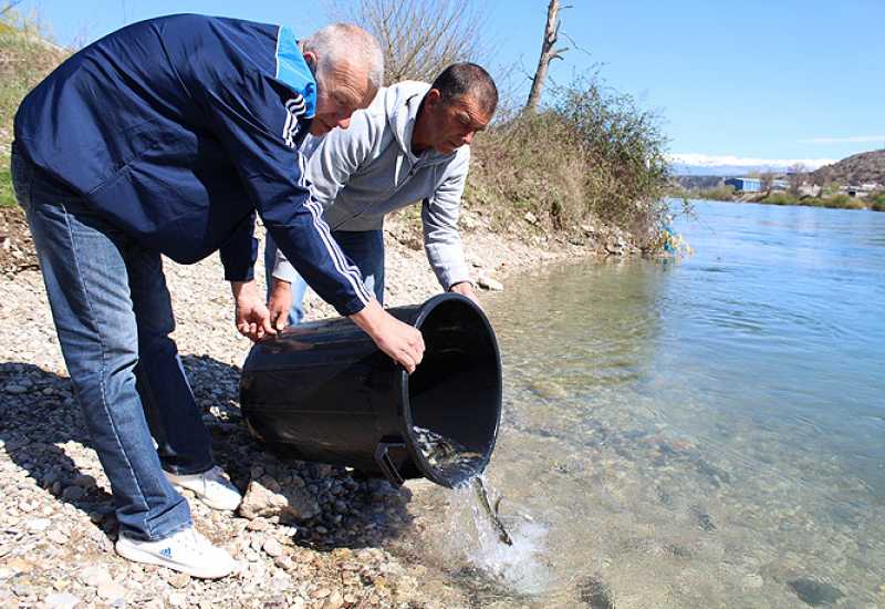 Jablaničko jezero bit će poribljeno sa 22.000 komada ribe