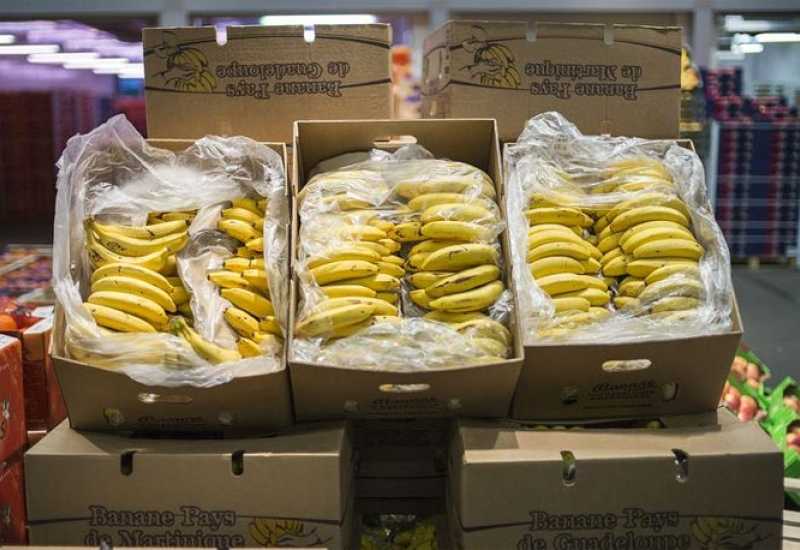 Pronađen kokain u bananama
