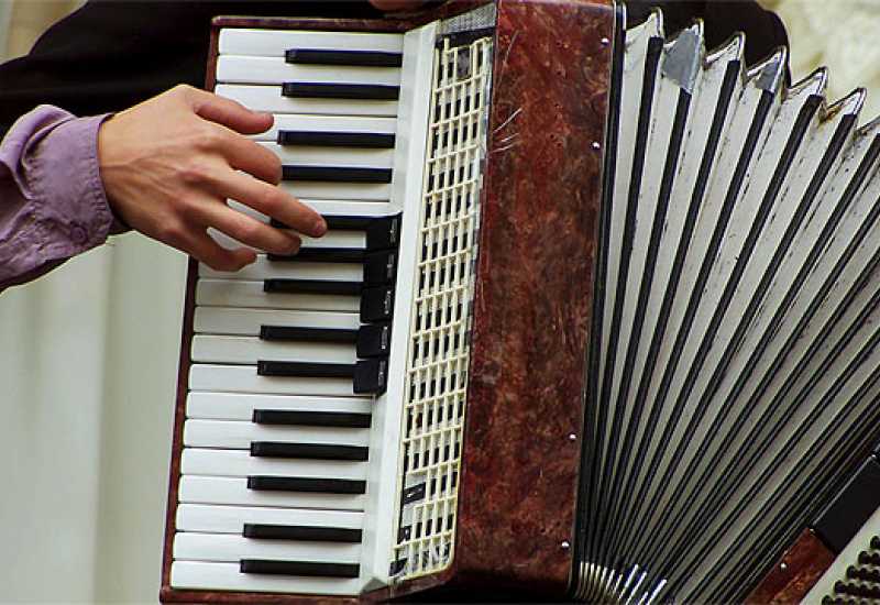 Harmonikaši iz Livna pobjednici festivala harmonike u Slavonskom Brodu